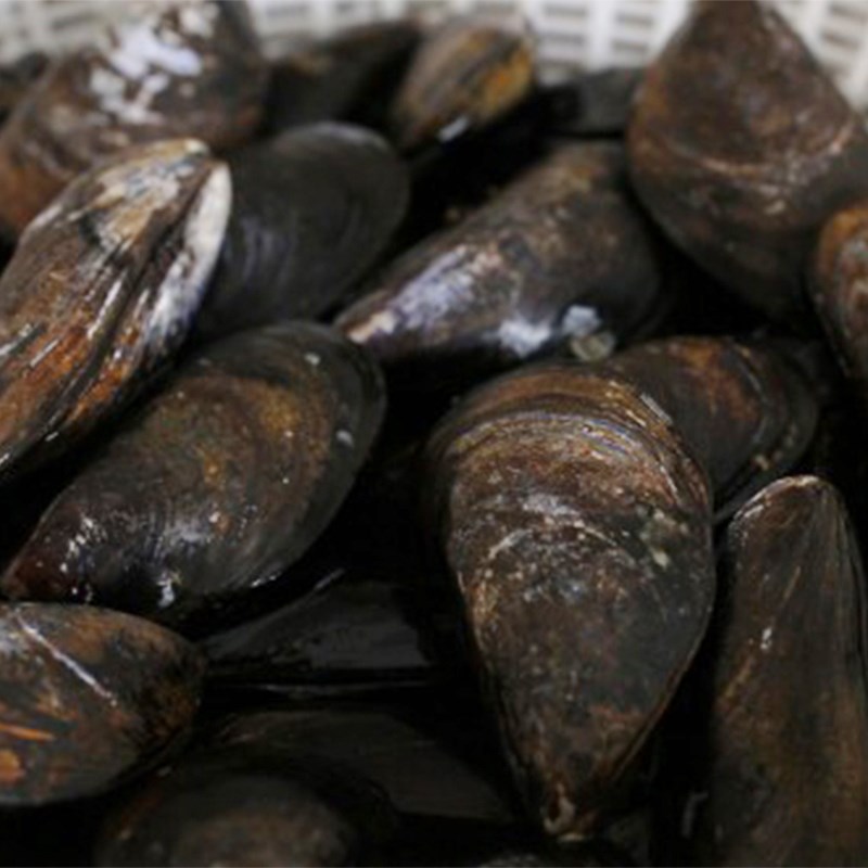 Step 1 Prepare the mussels for Seaweed Soup