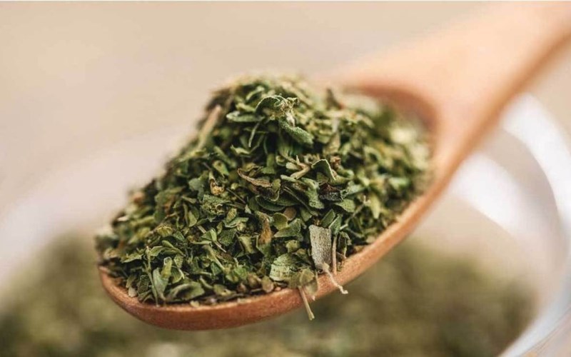 Lá oregano mua ở đâu?