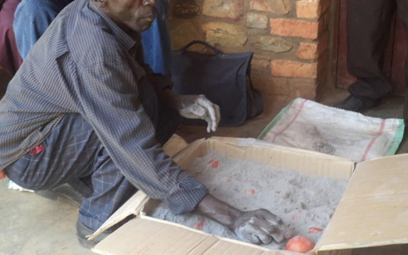 C&agrave; chua v&ugrave;i tro