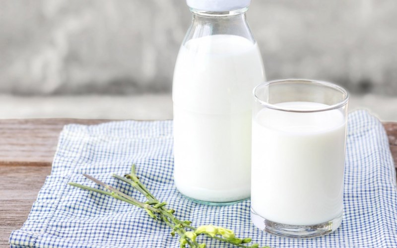 Sữa tươi là gì? Tác dụng của sữa tươi và các loại sữa tươi phổ biến