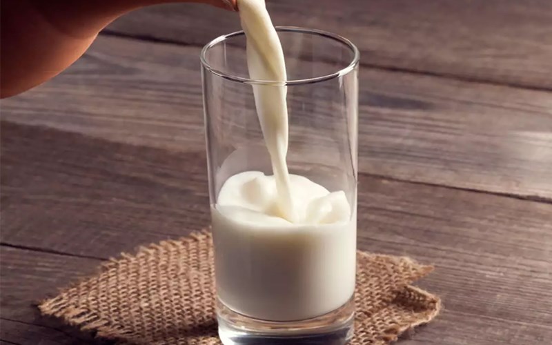 Sữa tươi là gì? Tác dụng của sữa tươi và các loại sữa tươi phổ biến