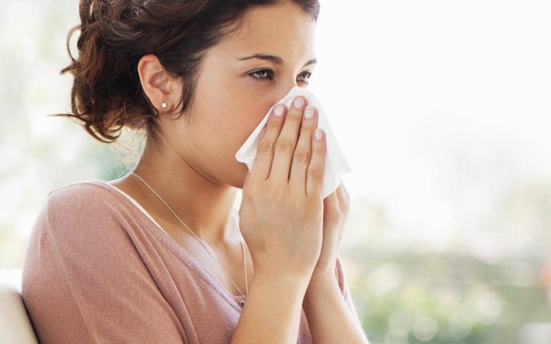 Trứng cút hỗ trợ điều trị viêm mũi dị ứng