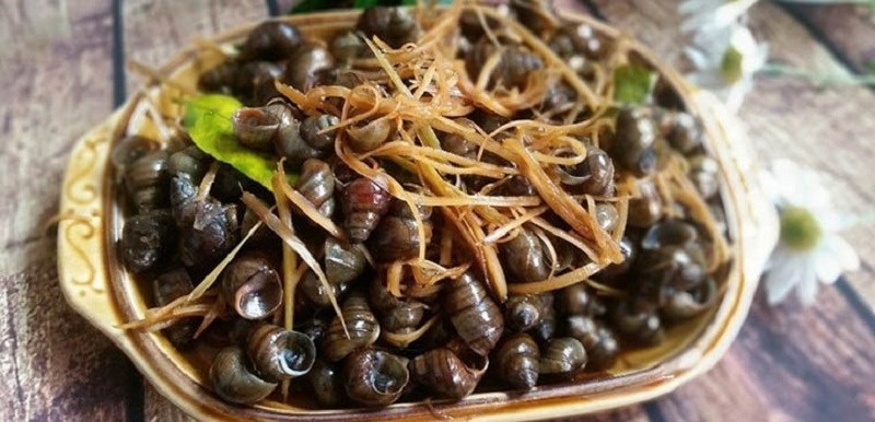 Ốc hút