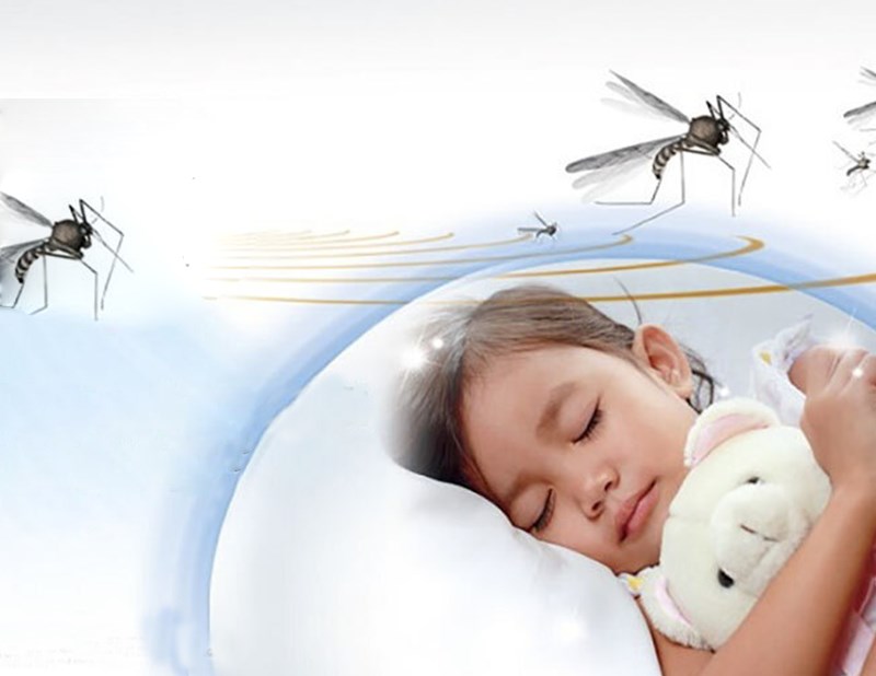 Basil húng quế tây là gì? Tác dụng của basil và các lưu ý khi dùng