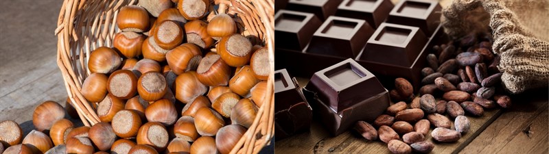Ingredients for making chocolate hazelnut milk