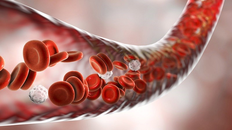 Giấm Balsamic cải thiện sự lưu thông máu