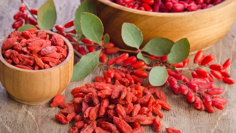 Kỷ tử là một loại gia vị được dùng phổ biến trong nấu ăn