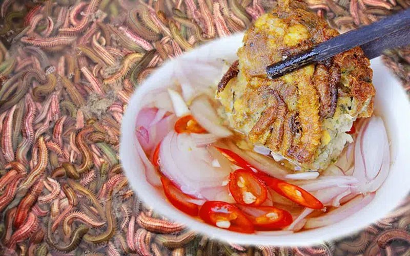 Rươi là con gì? Con rươi có tác dụng gì và các lưu ý khi ăn bạn cần bi