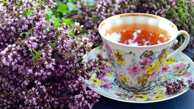 Trà Rooibos - Hồng trà Nam Phi là gì? Công dụng của hồng trà Nam Phi