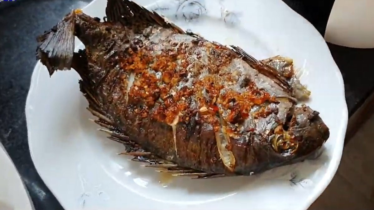 Cá dìa nướng muối ớt