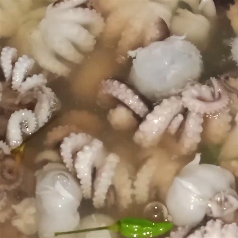 Bước 3 Luộc bạch tuộc Bạch tuộc ngâm sả tắc