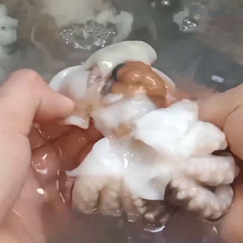 Bước 1 Sơ chế bạch tuộc Bạch tuộc ngâm sả tắc