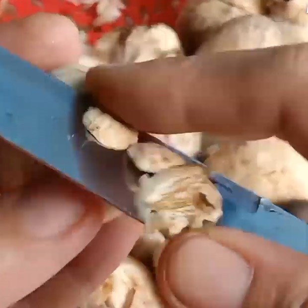 Bước 1 Sơ chế nấm Nấm rơm muối chua