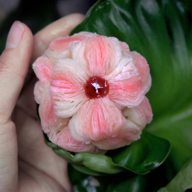 Cách làm bánh phù dung - ảnh 19 cach-lam-banh-phu-dung-img19