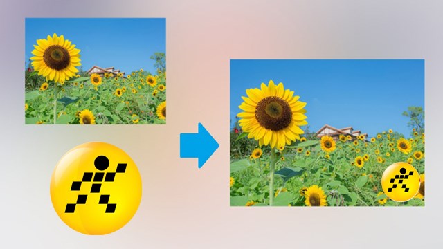 cách chèn logo vào ảnh bằng snapseed