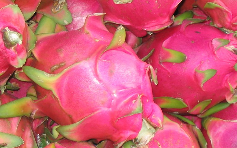 C&aacute;ch chọn mua thanh long