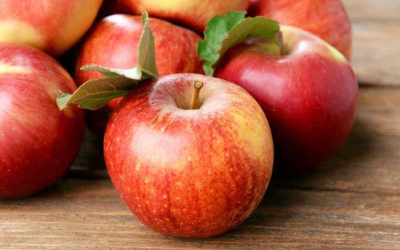 c&aacute;ch chọn mua t&aacute;o