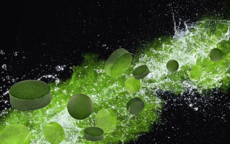 Tảo spirulina là gì?