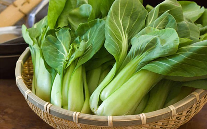 Bok choy - rau cải thìa là gì? Công dụng và các món ăn ngon với cải thìa