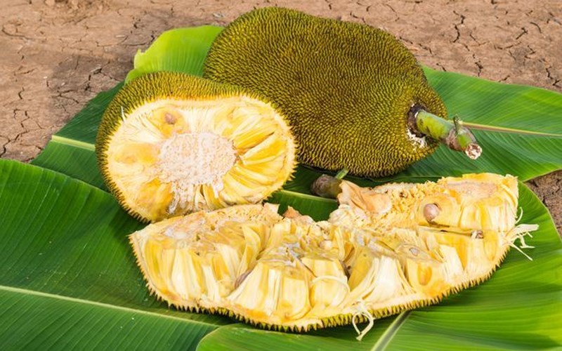 c&aacute;ch chọn mua m&iacute;t