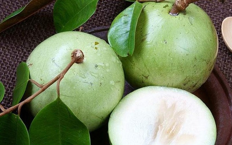 Vú sữa