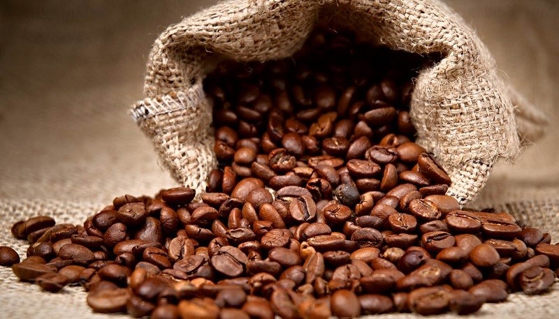 Cà phê chồn là gì? Nguồn gốc quá trình và giá cà phê chồn trên thị trường