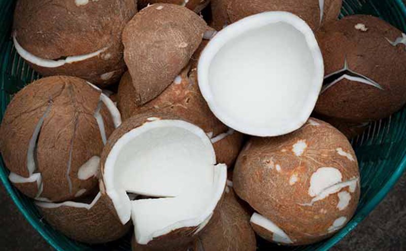 Cách chọn dừa già để làm mứt