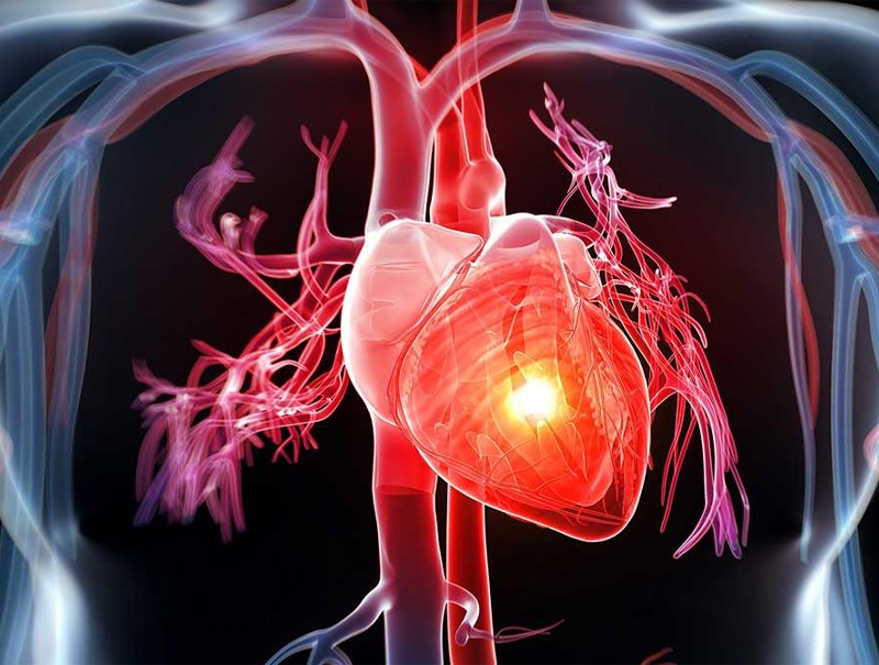 Giảm nguy cơ tim mạch