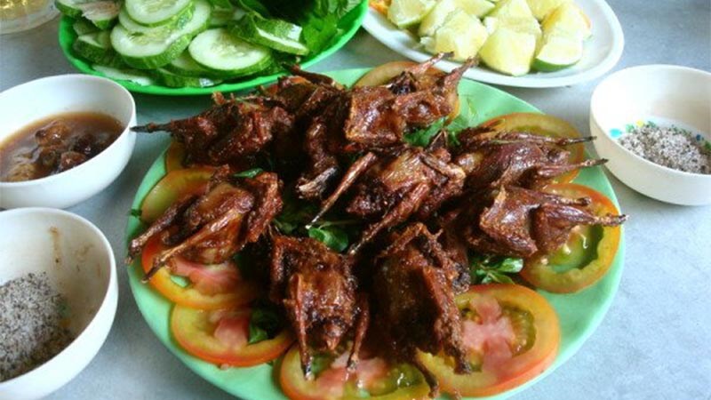 Chim mía Quảng Ngãi