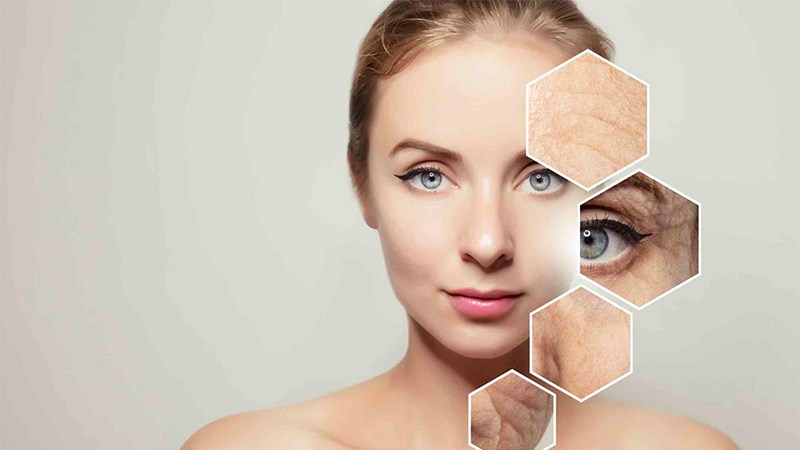 L&atilde;o ho&aacute;