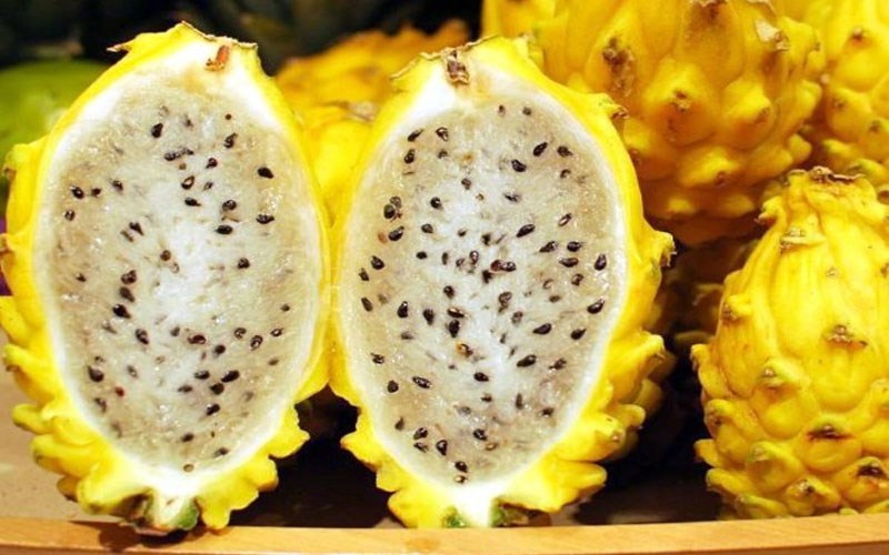 Thanh long v&agrave;ng Th&aacute;i Lan