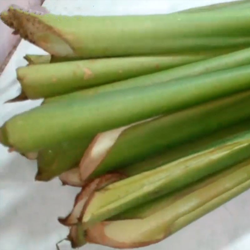 Bước 1 Phơi mùng Mùng chua Nghệ An