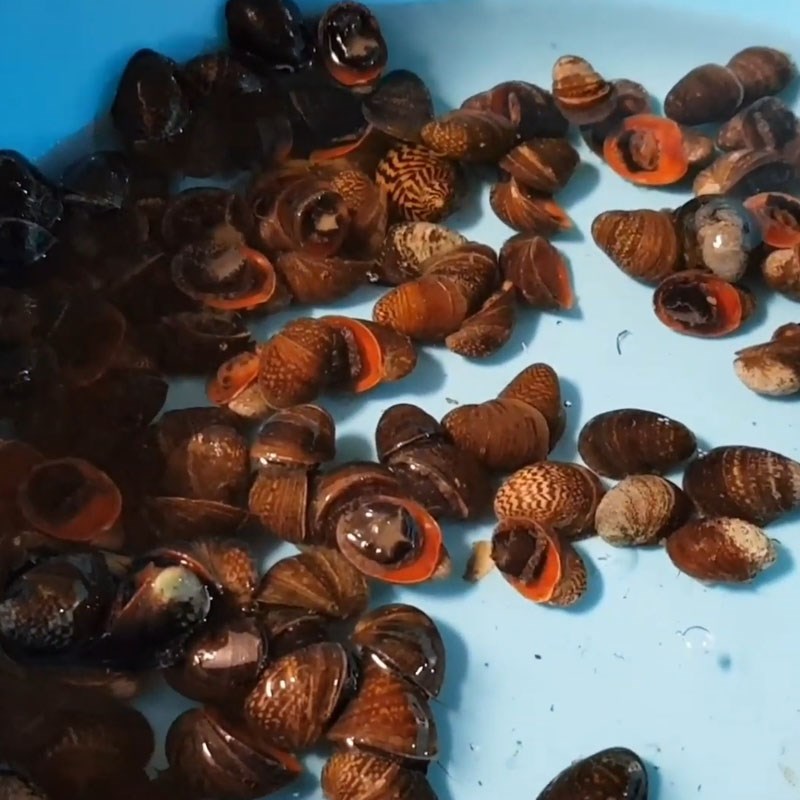 Bước 1 Sơ chế ốc dừa Ốc dừa xào bơ
