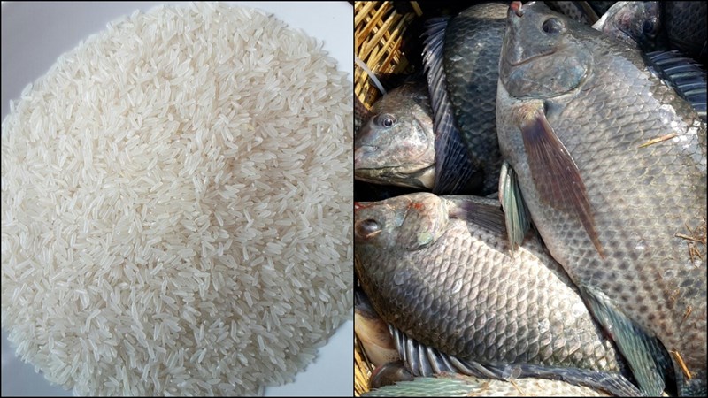 Nguyên liệu nấu cháo cá Bắc Ninh