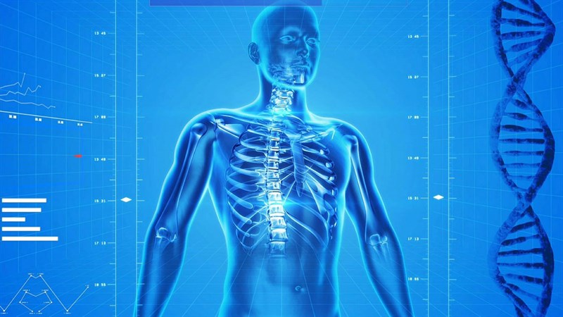Cung cấp cho magie tự nhiên cung cấp phân diệt thức ăn thành năng lượng