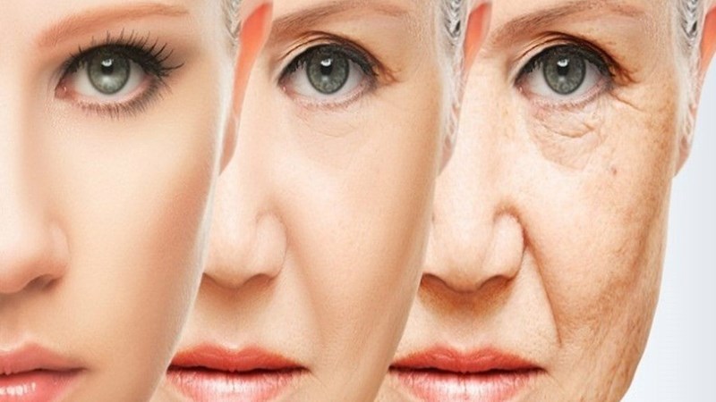 Chống lại các bệnh dịch mãn tính