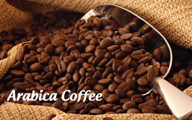 cà phê Arabica