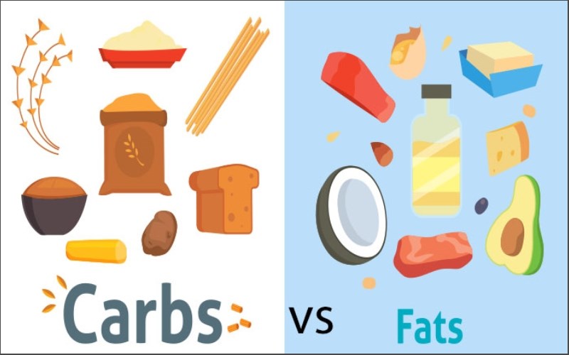 Ăn tinh bột v&agrave; chất b&eacute;o