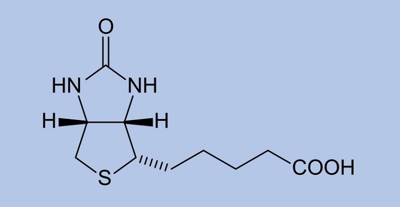 Biotin là gì?