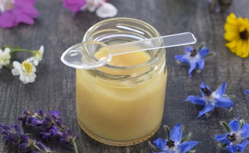 Cách dùng sữa ong chúa chuẩn cho người lớn và trẻ em 