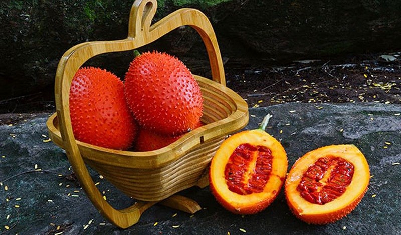 Thành phần dinh dưỡng của trái gấc
