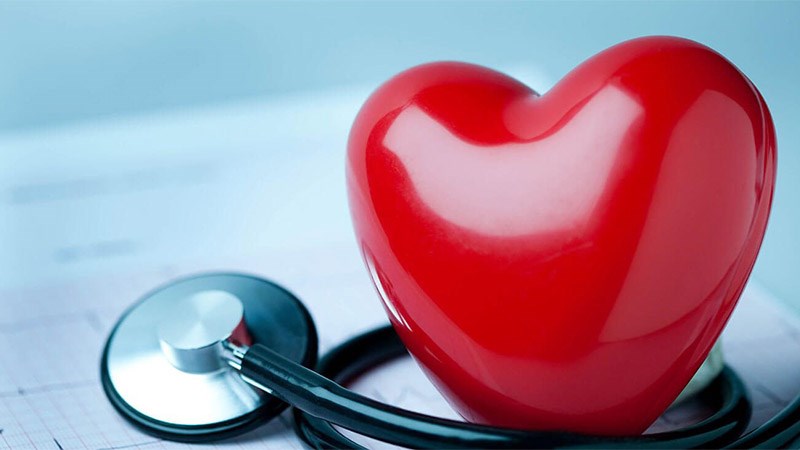 Tỏi đen bảo vệ sức khỏe tim mạch 