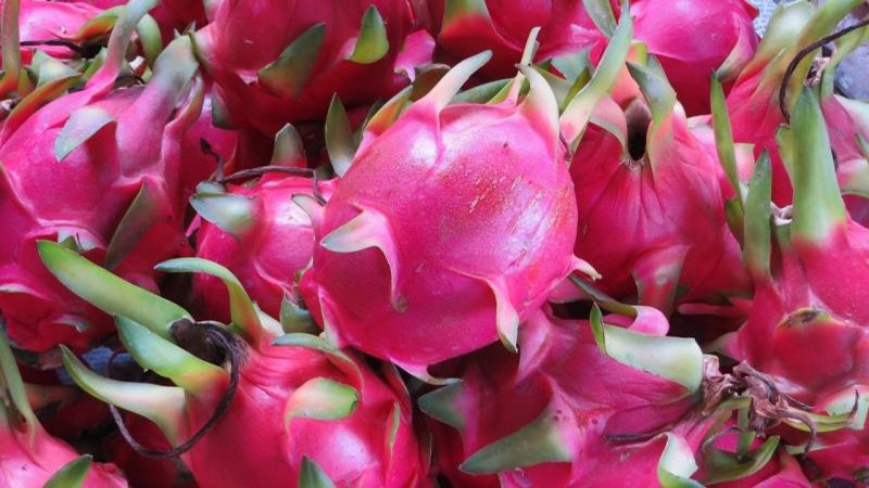 Thành phần bồi bổ gồm trong quả thanh hao long