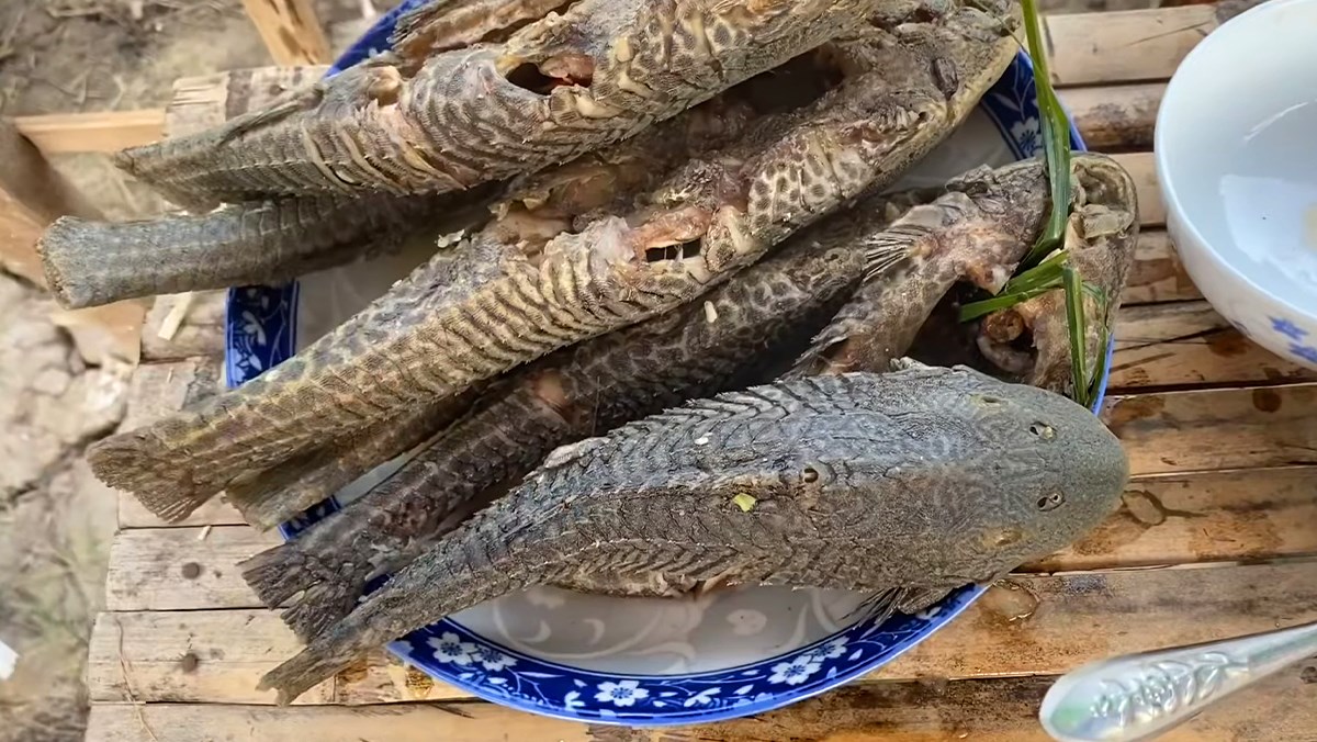 Cá lau kiếng hấp sả và mướp non là món ăn ngon và đầy dinh dưỡng ở Việt Nam. Xem hình ảnh sẽ khiến bạn thèm muốn thưởng thức món ăn đặc trưng này ngay lập tức.