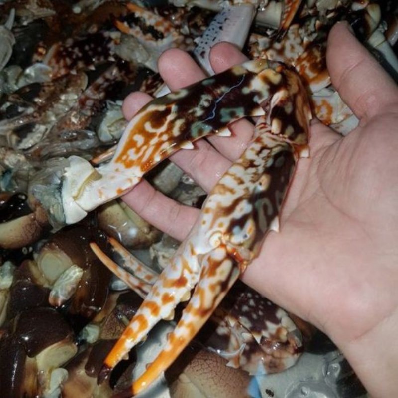 Bước 1 Sơ chế càng ghẹ Càng ghẹ rang me