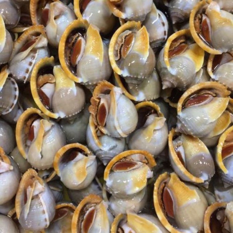 Bước 1 Sơ chế ốc Ốc tỏi nướng nước mắm