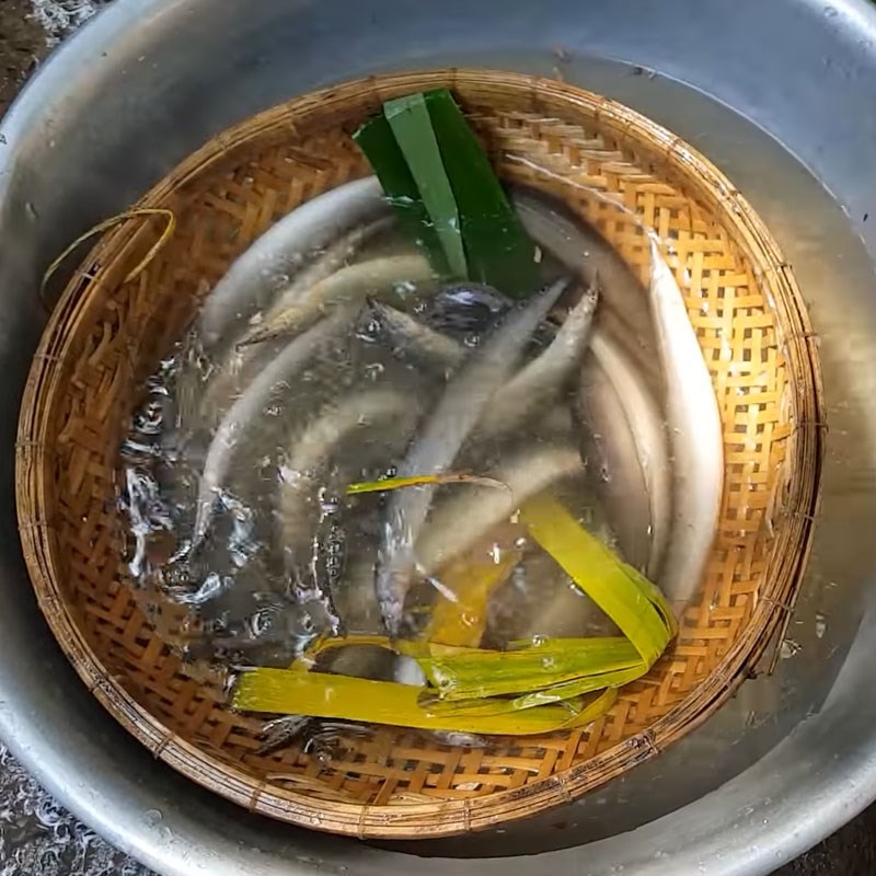 Bước 1 Sơ chế cá chạch Cá chạch nấu canh chua bông so đũa