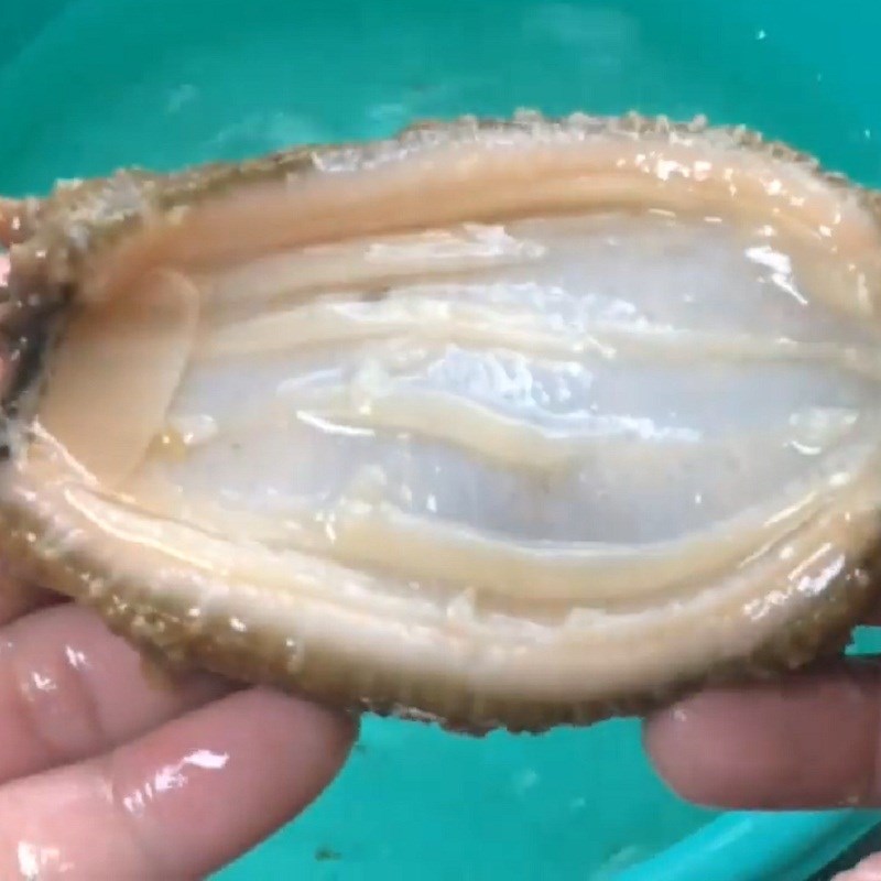 Bước 2 Sơ chế hải sâm Cháo hải sâm sò điệp