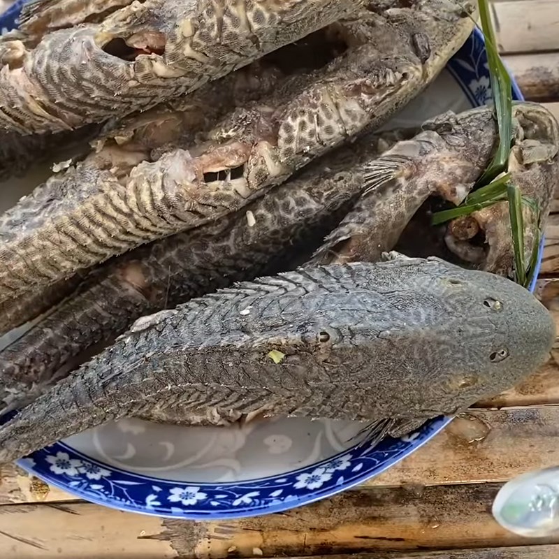 Cá lau kiếng là một loài cá lạ mắt với vỏ sừng kiếng mờ mịt bao phủ trên cơ thể. Với khả năng thay đổi màu sắc theo môi trường sống, chúng luôn khiến người ta ngạc nhiên và thích thú khi được chiêm ngưỡng. Hãy đến và khám phá hình ảnh đầy màu sắc của loài cá lau kiếng.