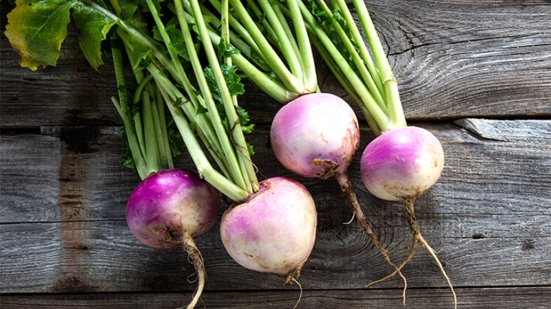 Củ cải turnip tốt mang lại thận